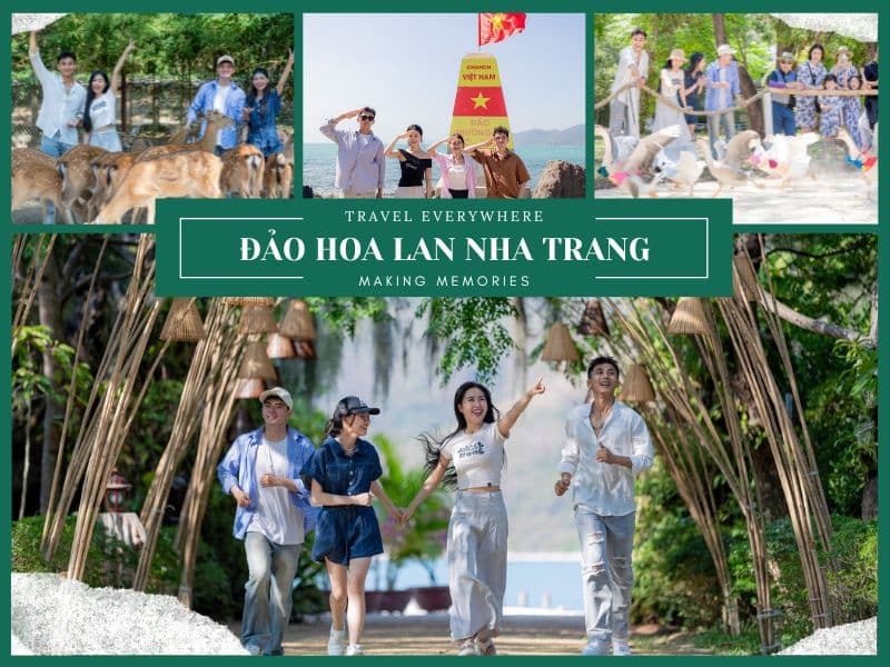 Khám Phá Đảo Hoa Lan: Viên Ngọc Bích Của Vịnh Nha Phu