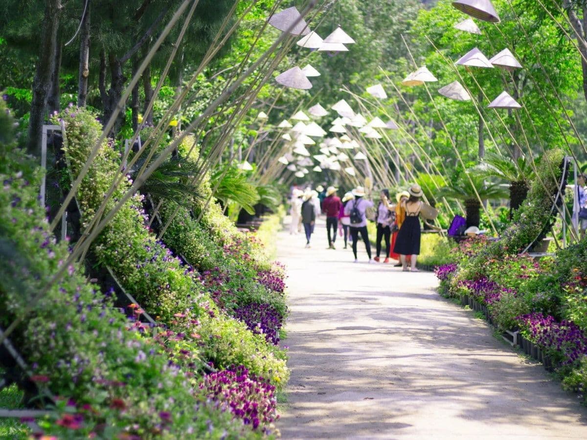 Đảo Hoa Lan Nha Trang Có Gì Chơi?  
