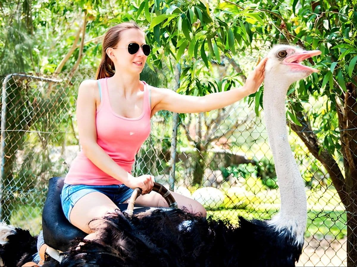 Đảo Hoa Lan Nha Trang Có Gì Chơi?  