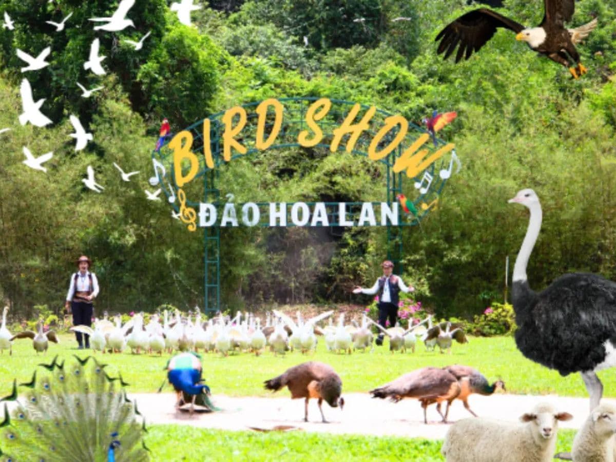Đảo Hoa Lan Nha Trang Có Gì Chơi?  