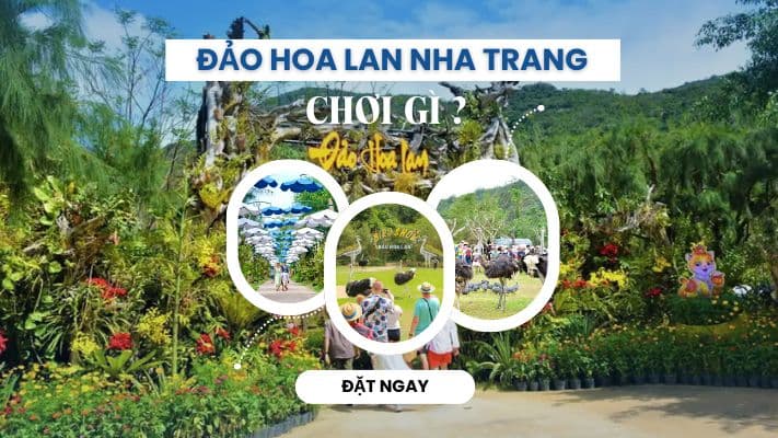 Đảo Hoa Lan Nha Trang Có Gì Chơi?  