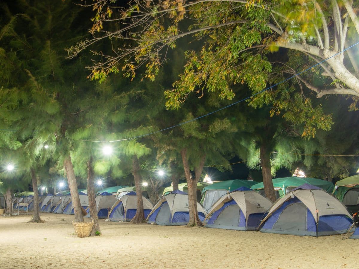 lưu trú đảo hoa lan