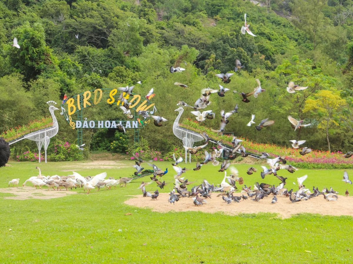 nhà hàng đảo hoa lan