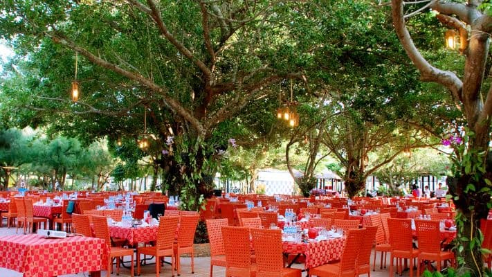 Nhà Hàng Đảo Hoa Lan