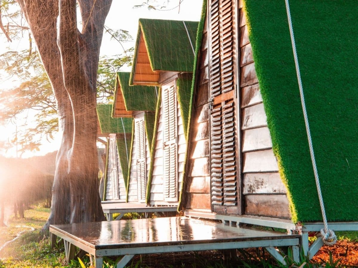 tour đảo hoa lan 2 ngày 1 đêm