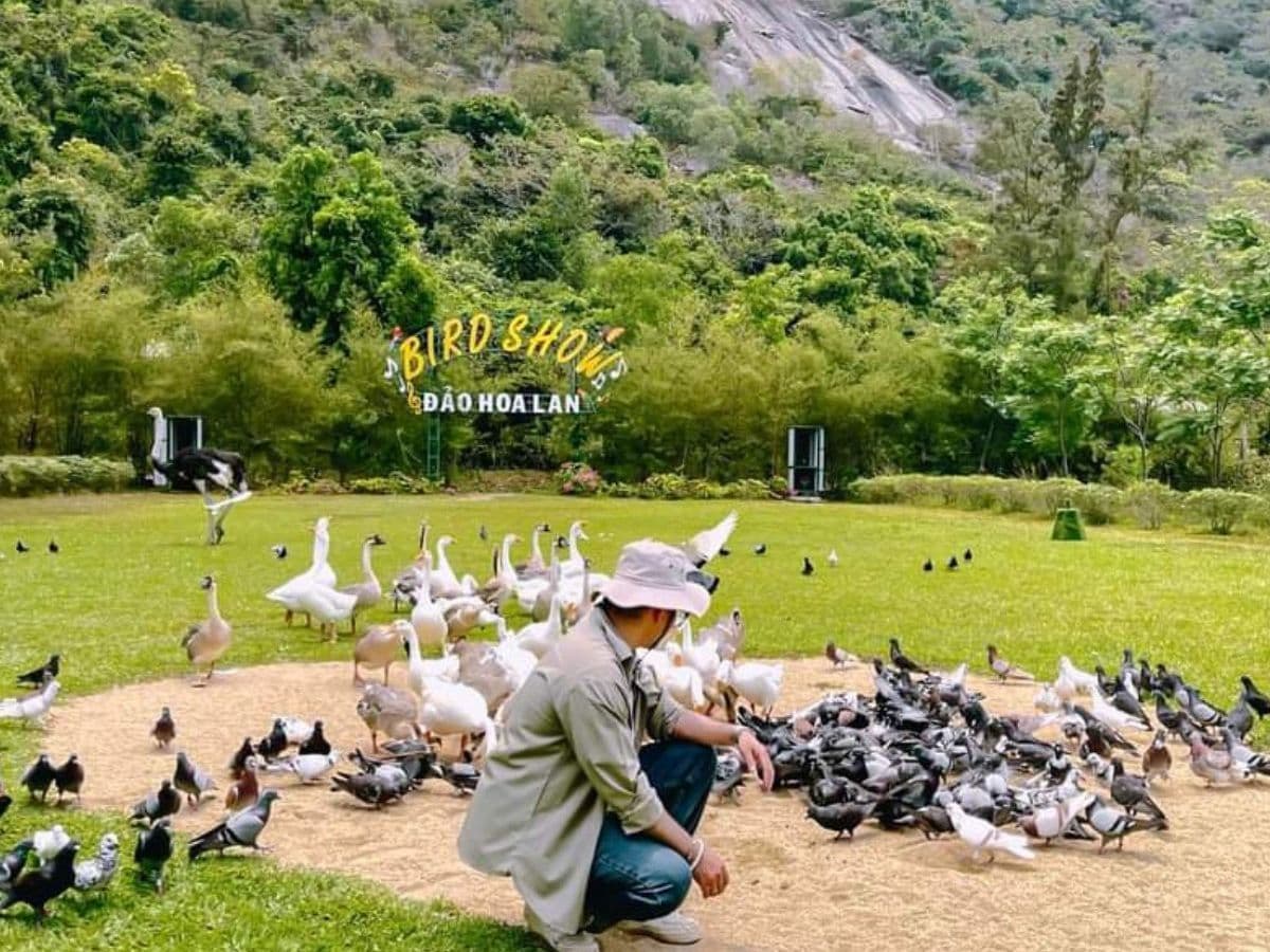 tour đảo hoa lan 2 ngày 1 đêm