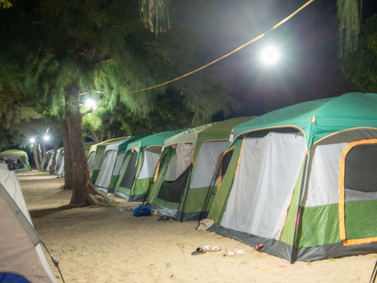 tour đảo hoa lan đảo khỉ 2 ngày 1 đêm