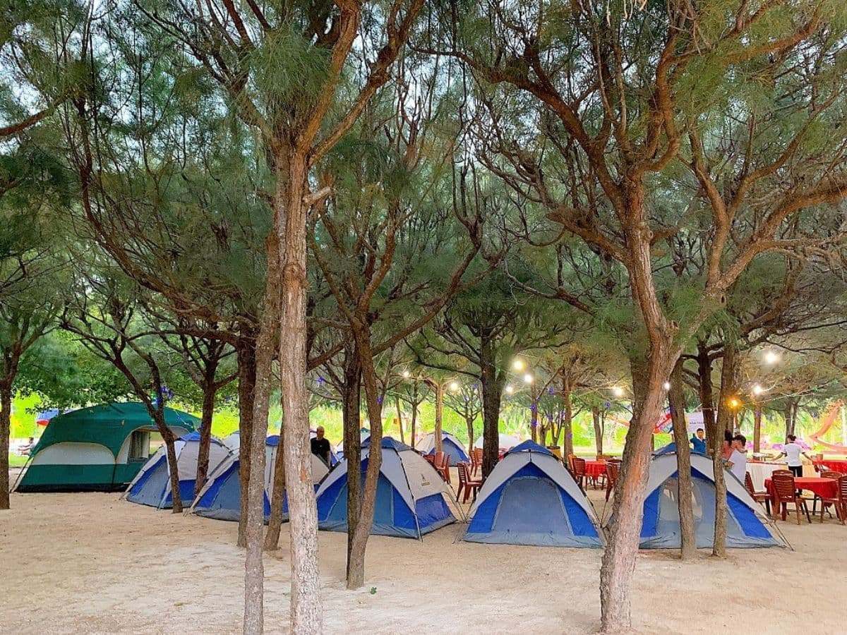 tour đảo hoa lan đảo khỉ 2 ngày 1 đêm