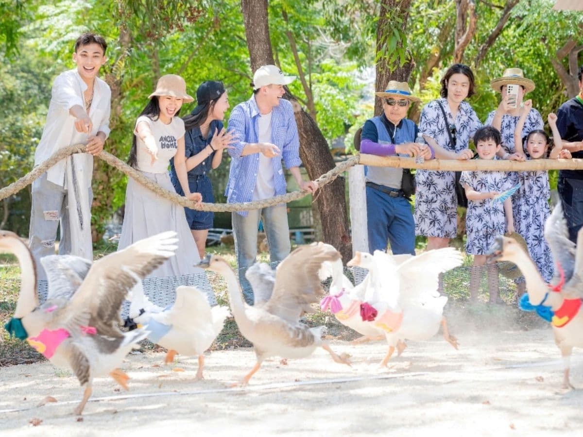 Tour Đảo Hoa Lan Đảo Khỉ 2 Ngày 1 Đêm - Hình 2