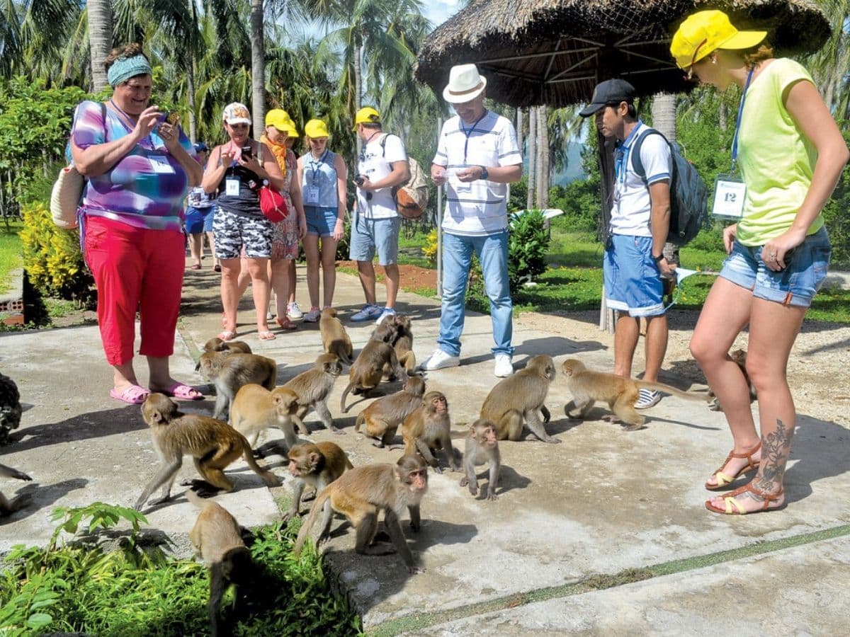 tour đảo hoa lan đảo khỉ nha trang