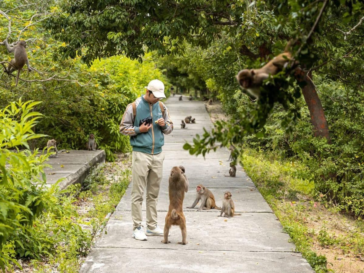 tour đảo hoa lan đảo khỉ nha trang