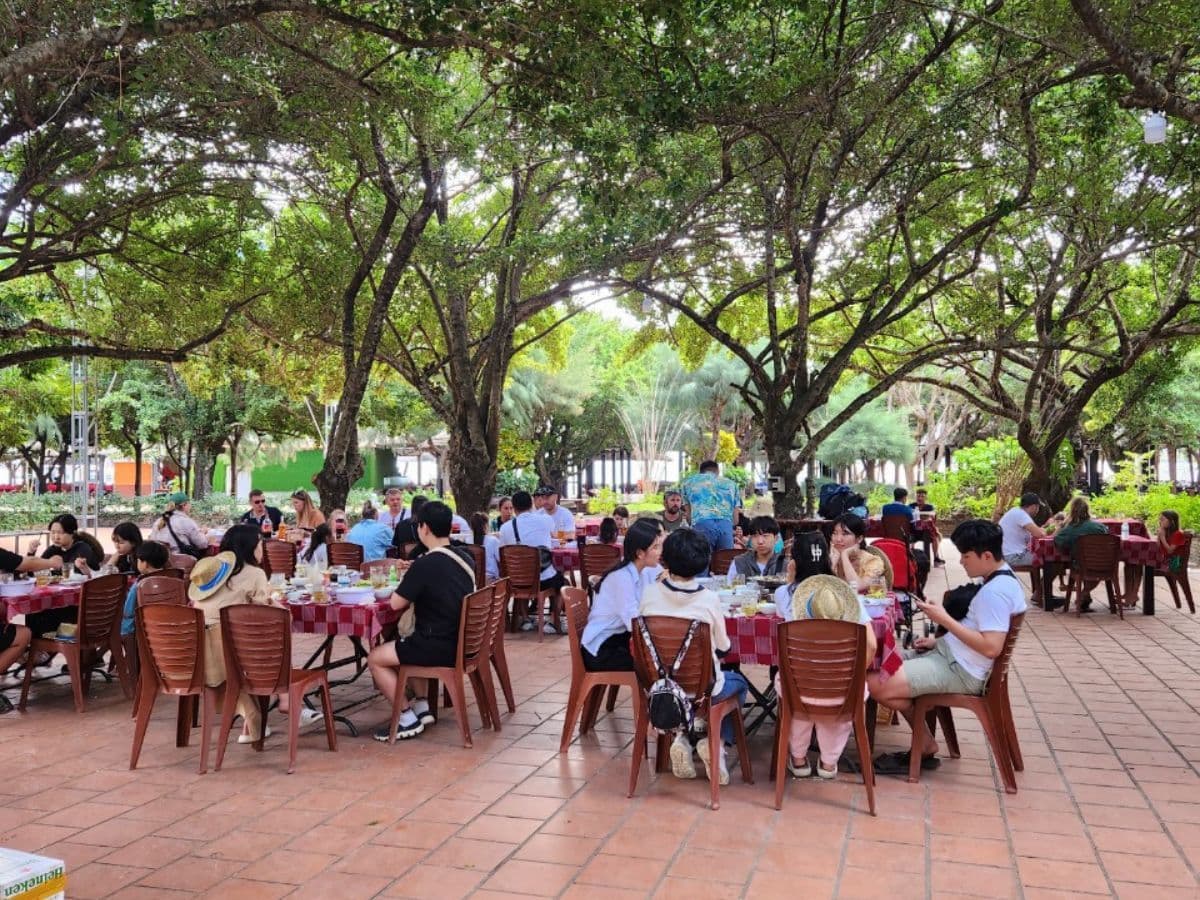 tour đảo hoa lan đảo khỉ nha trang