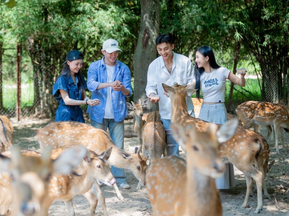 tour đảo hoa lan nha trang