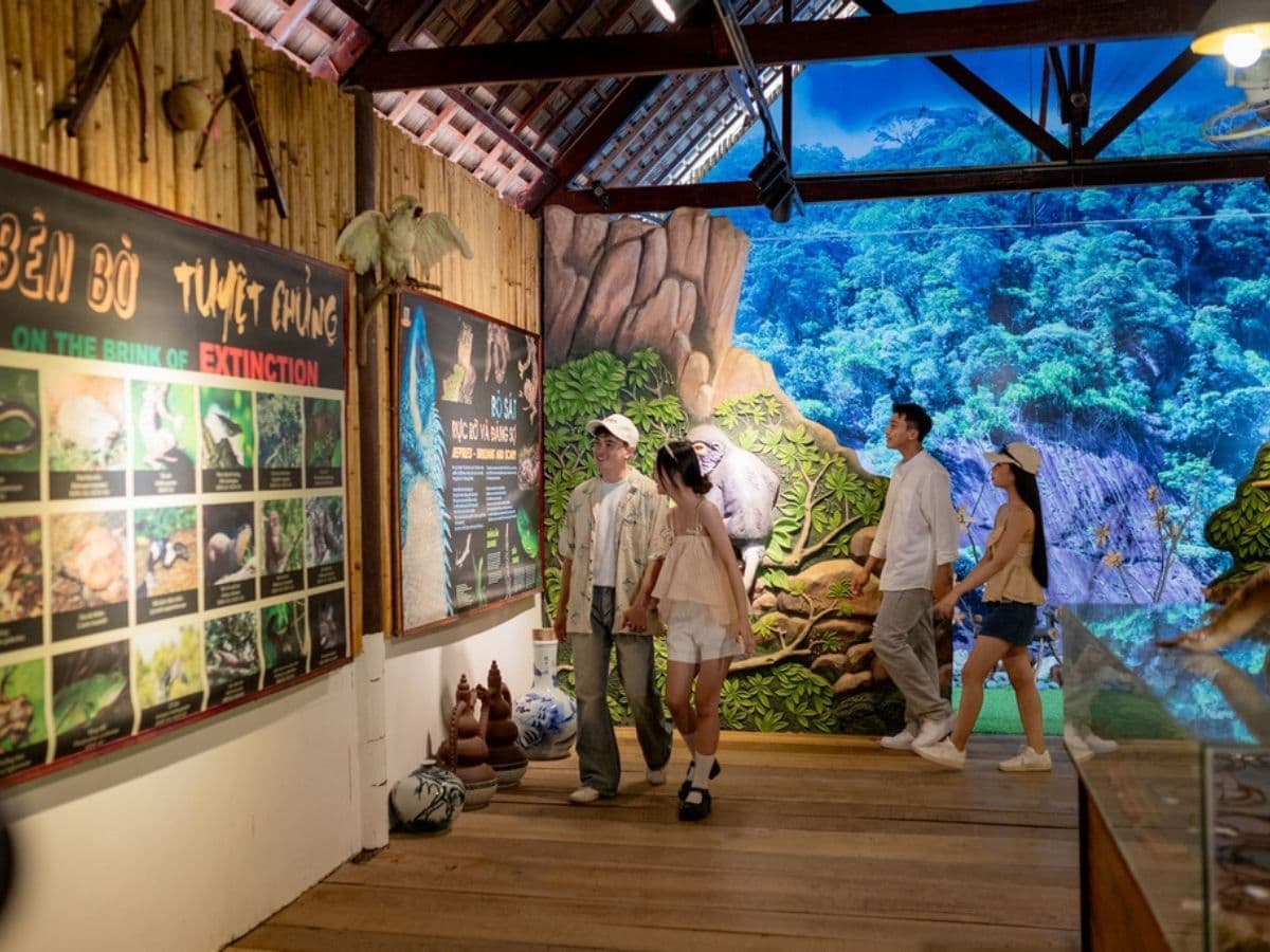 tour đảo hoa lan nha trang
