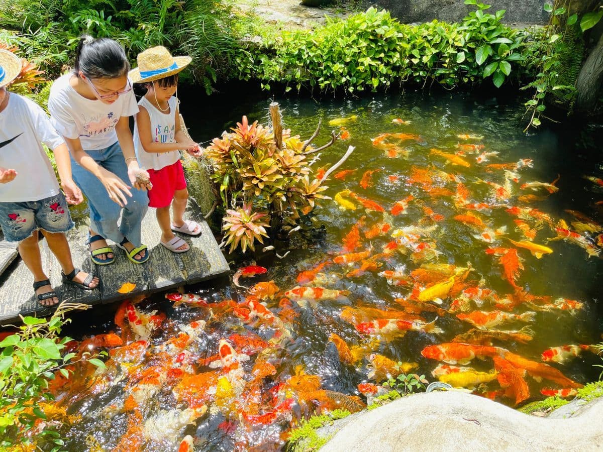 tour đảo hoa lan nha trang