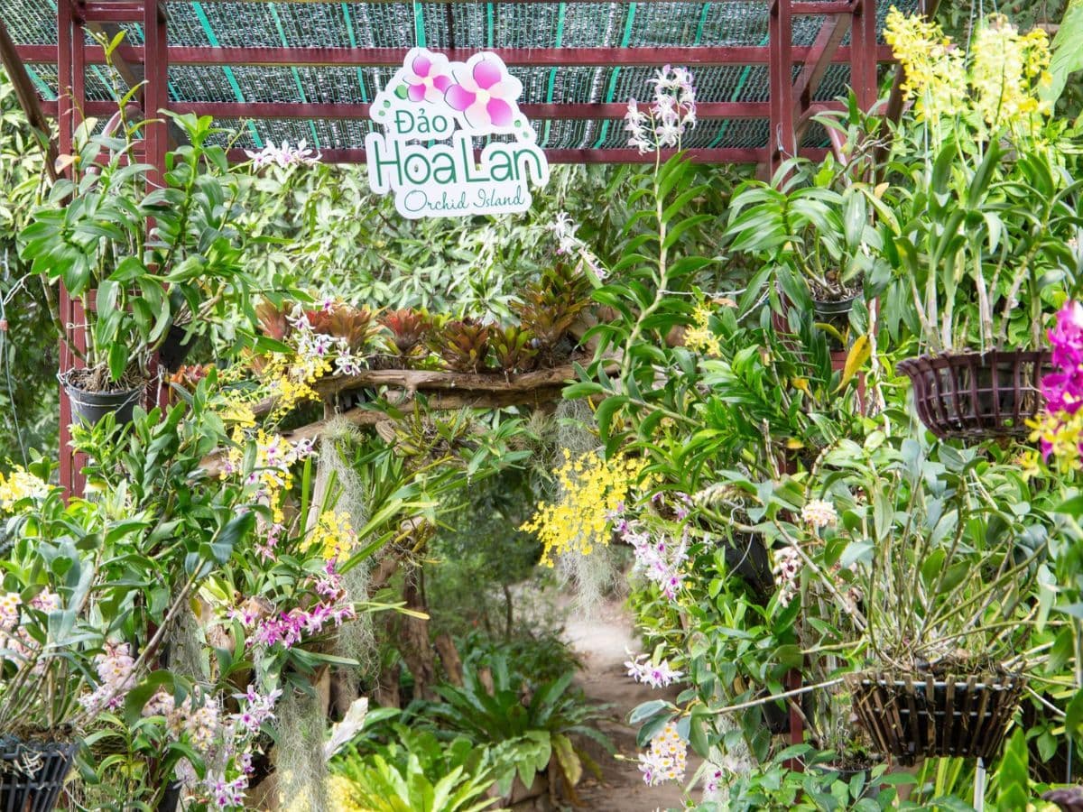 Tour Đảo Hoa Lan Nha Trang - Hình 1