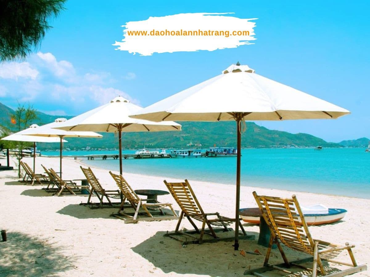 Tour Đảo Hoa Lan + Team Building - Hình 2