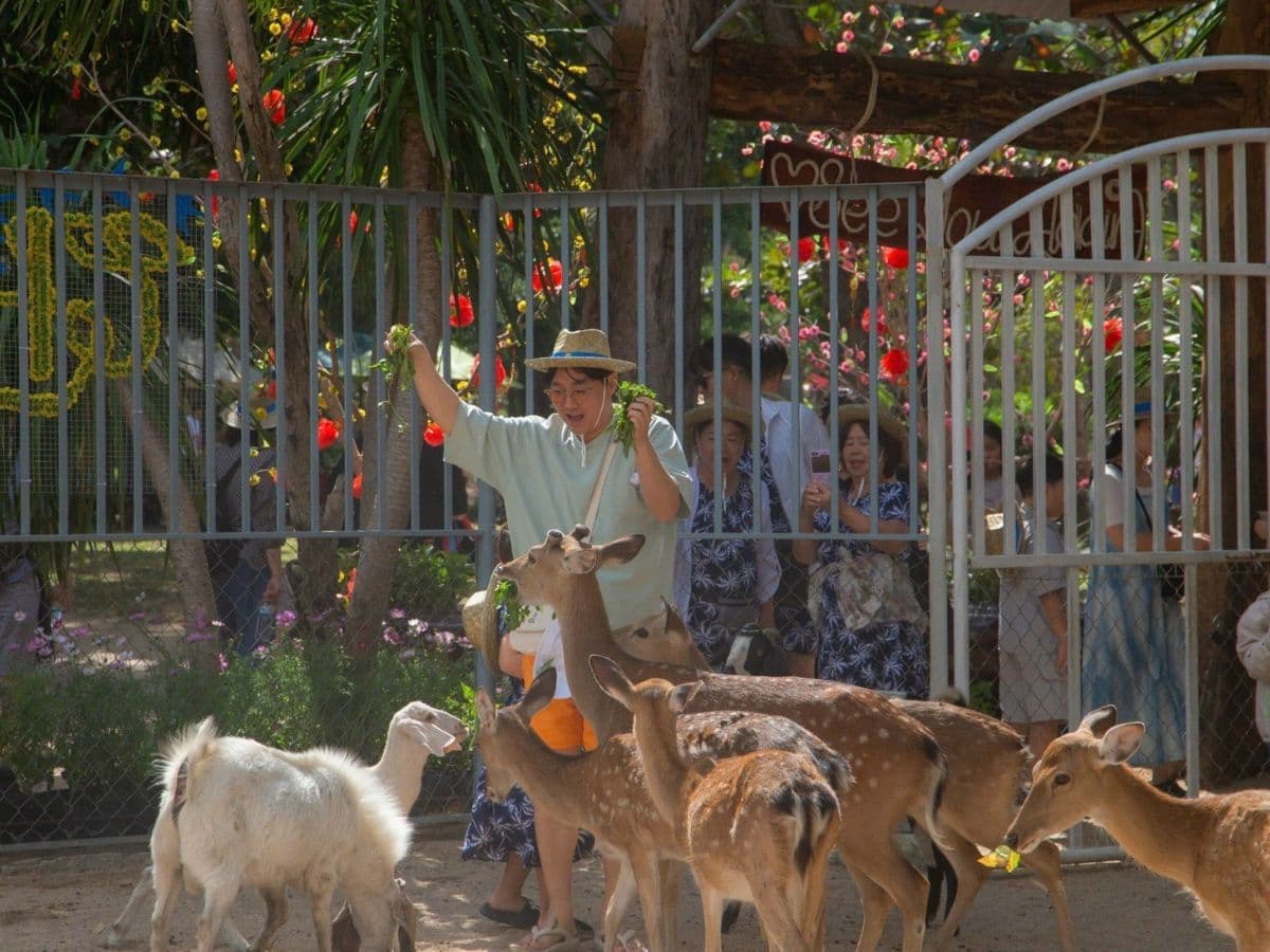 tour đảo hoa lan tắm bùn khoáng 