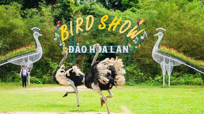Tour Đảo Hoa Lan Tắm Bùn Khoáng