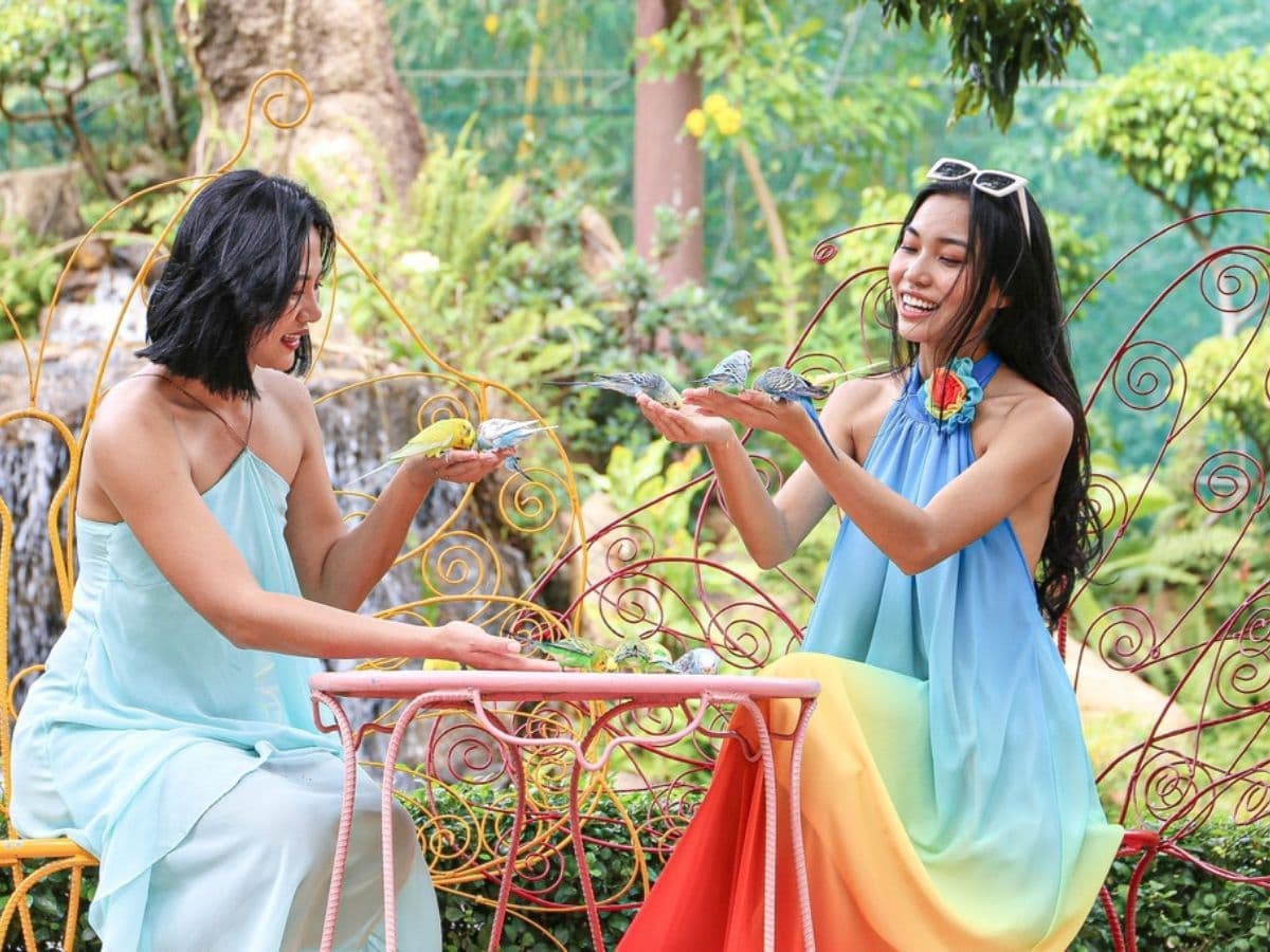 vé đảo hoa lan nha trang