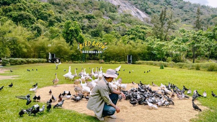 Vé Đảo Hoa Lan Nha Trang 