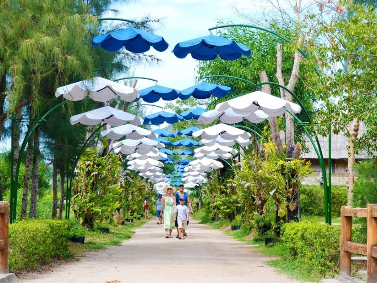 Kinh Nghiệm Du Lịch Đảo Hoa Lan Nha Trang